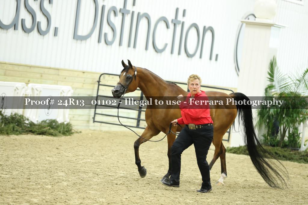 Proof 24R13_01102