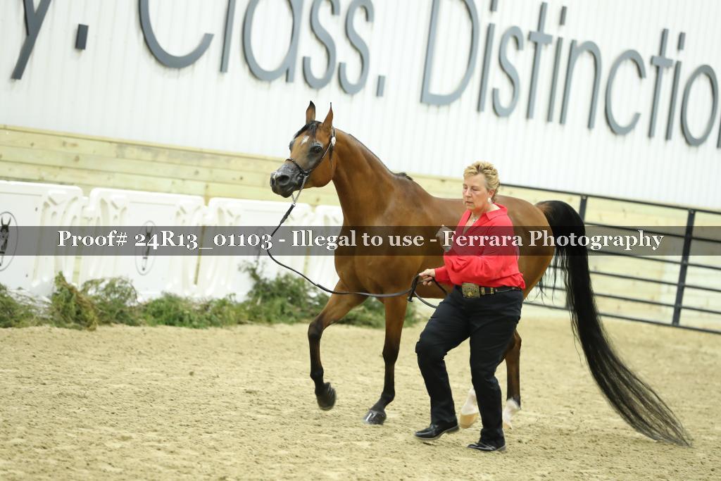Proof 24R13_01103