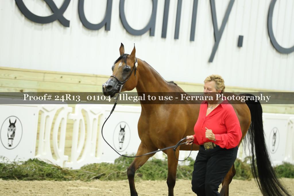 Proof 24R13_01104