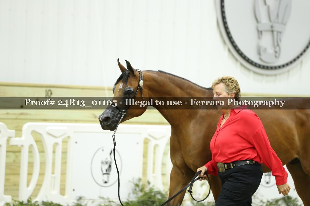Proof 24R13_01105