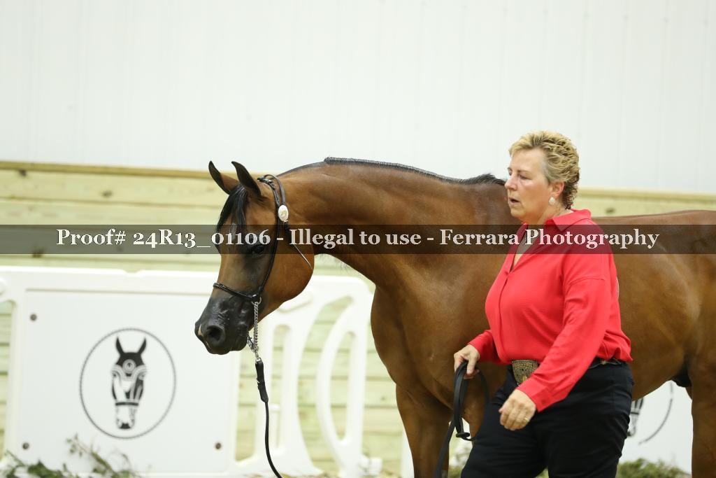 Proof 24R13_01106