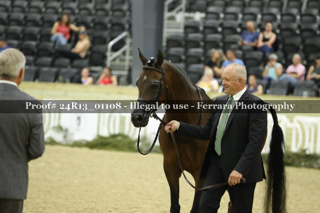 Proof 24R13_01108
