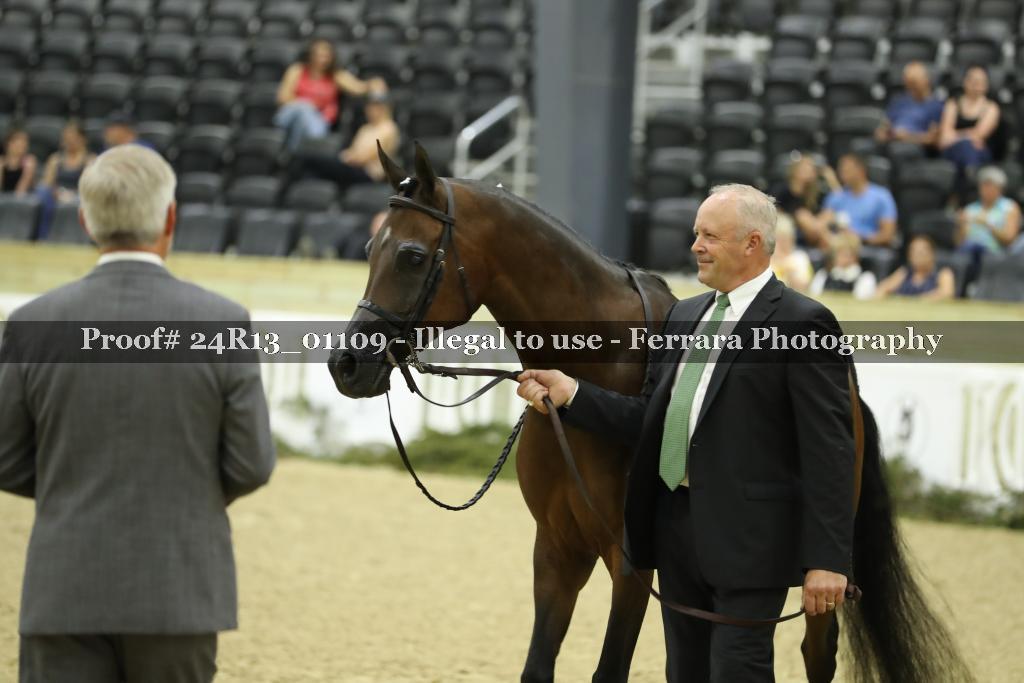 Proof 24R13_01109