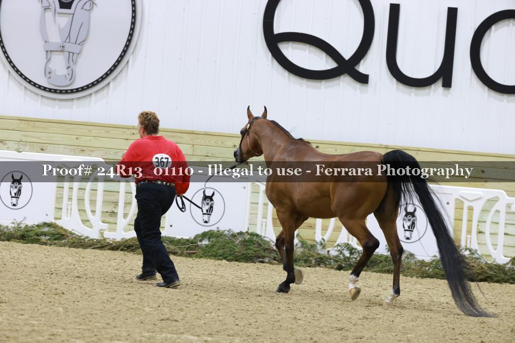 Proof 24R13_01110