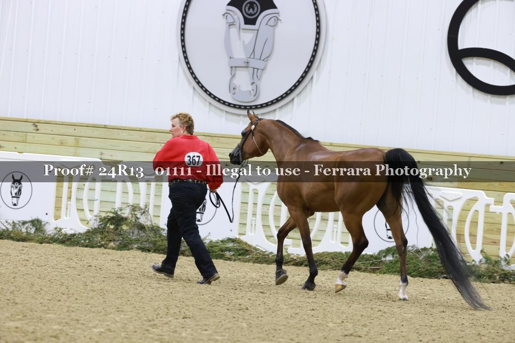 Proof 24R13_01111