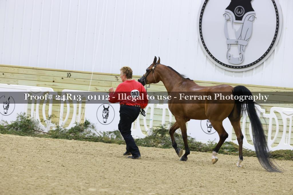 Proof 24R13_01112