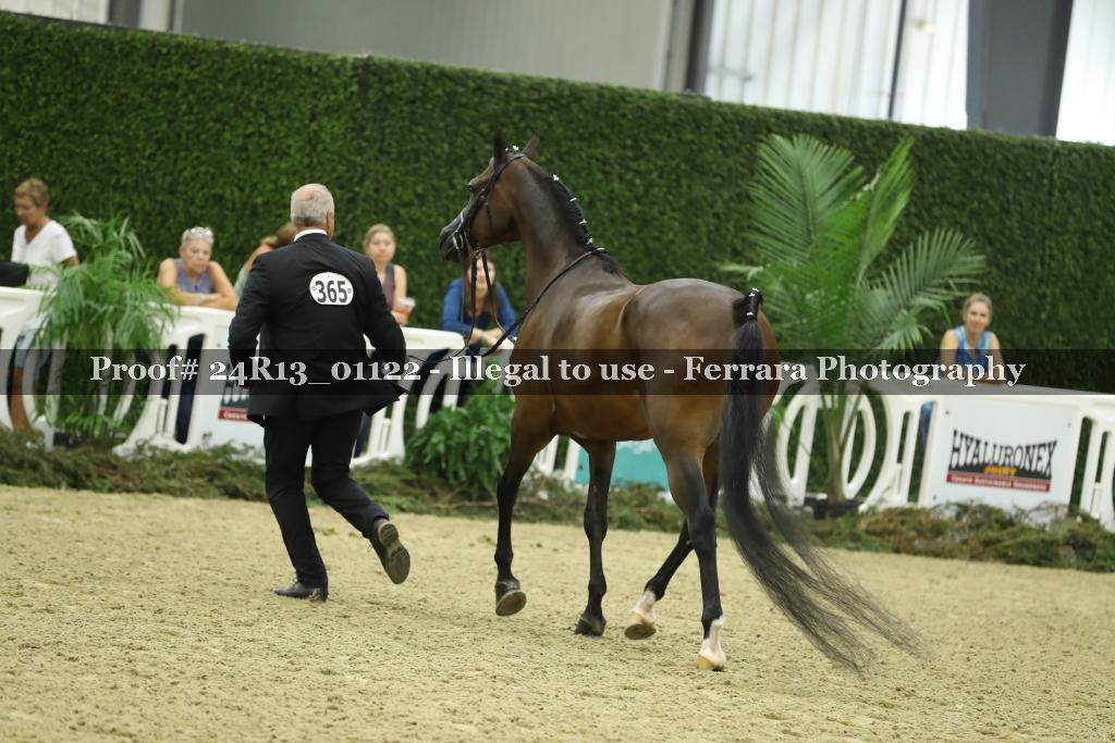 Proof 24R13_01122