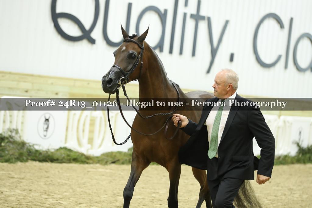 Proof 24R13_01126