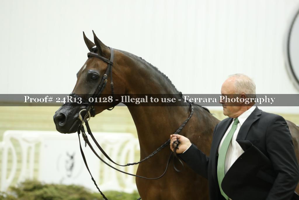 Proof 24R13_01128