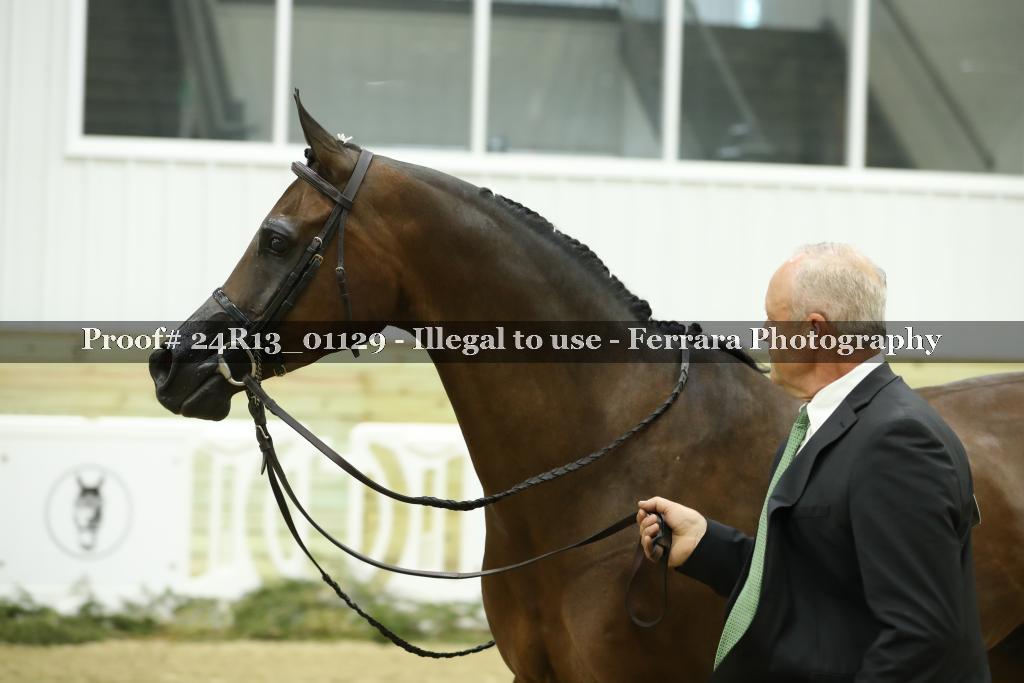 Proof 24R13_01129