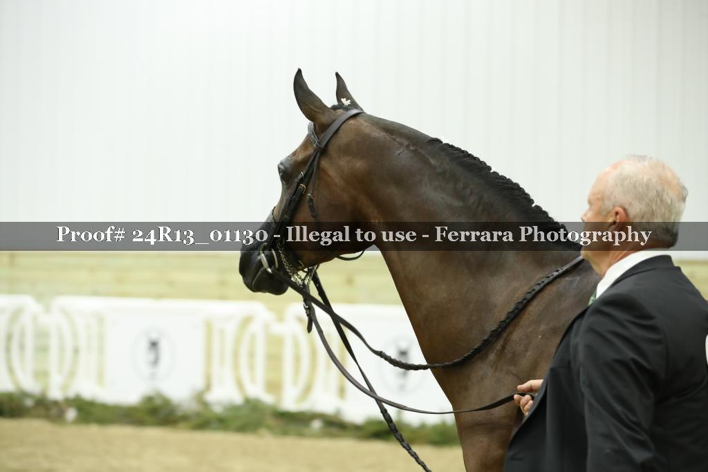 Proof 24R13_01130