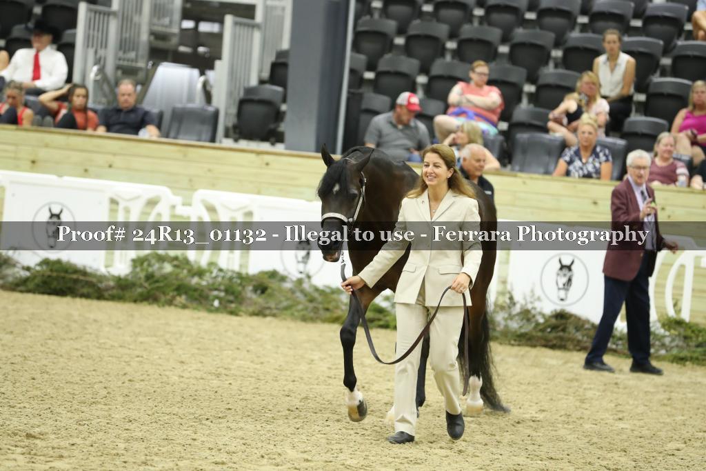 Proof 24R13_01132