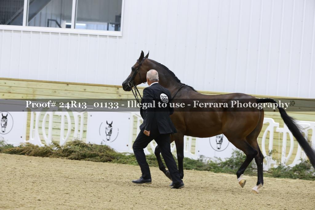 Proof 24R13_01133