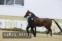 24R13_01133 proof