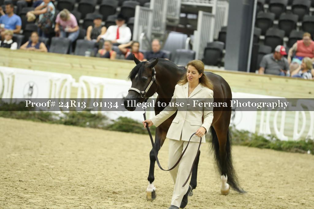 Proof 24R13_01134