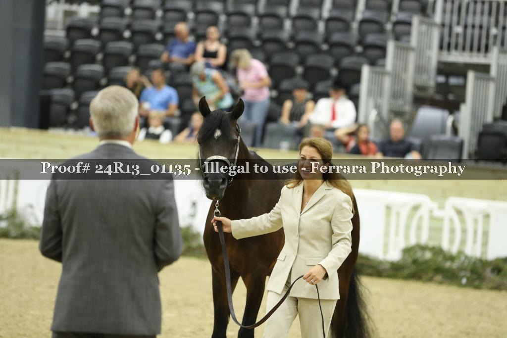 Proof 24R13_01135