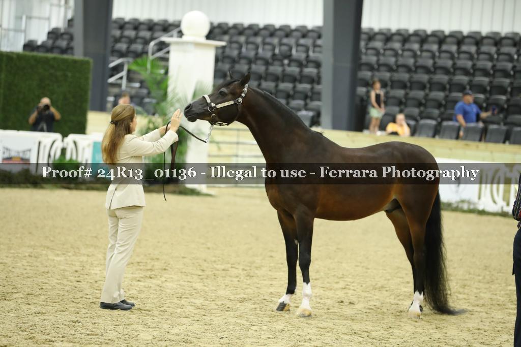 Proof 24R13_01136