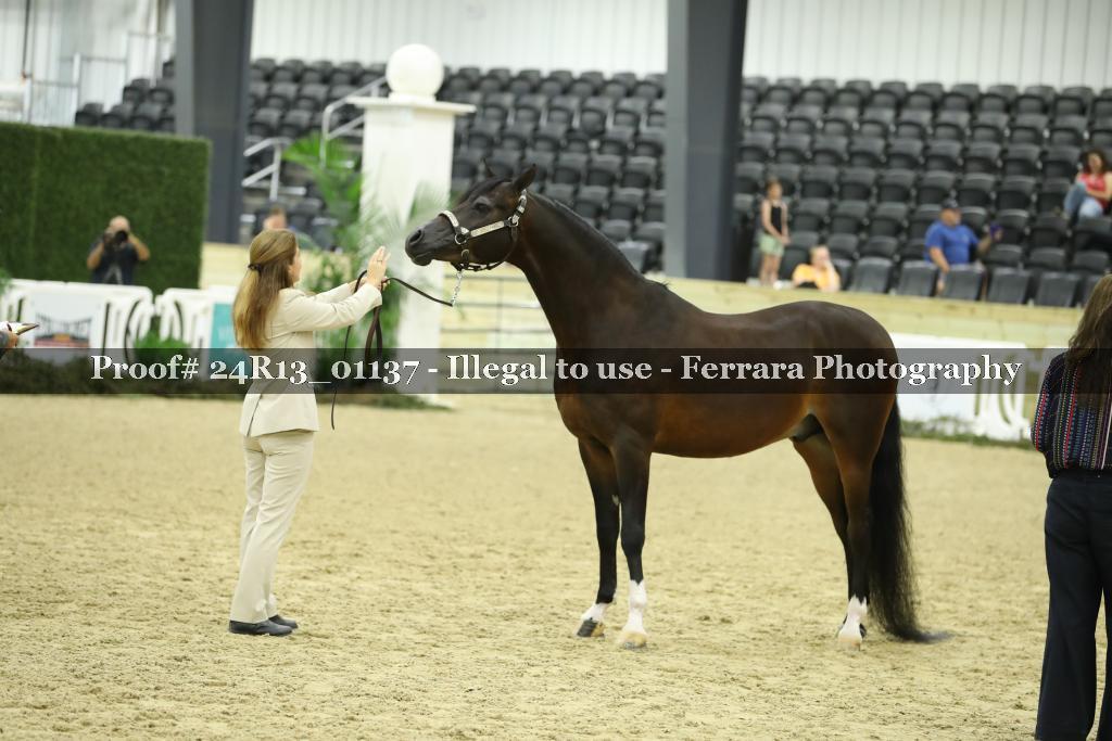 Proof 24R13_01137