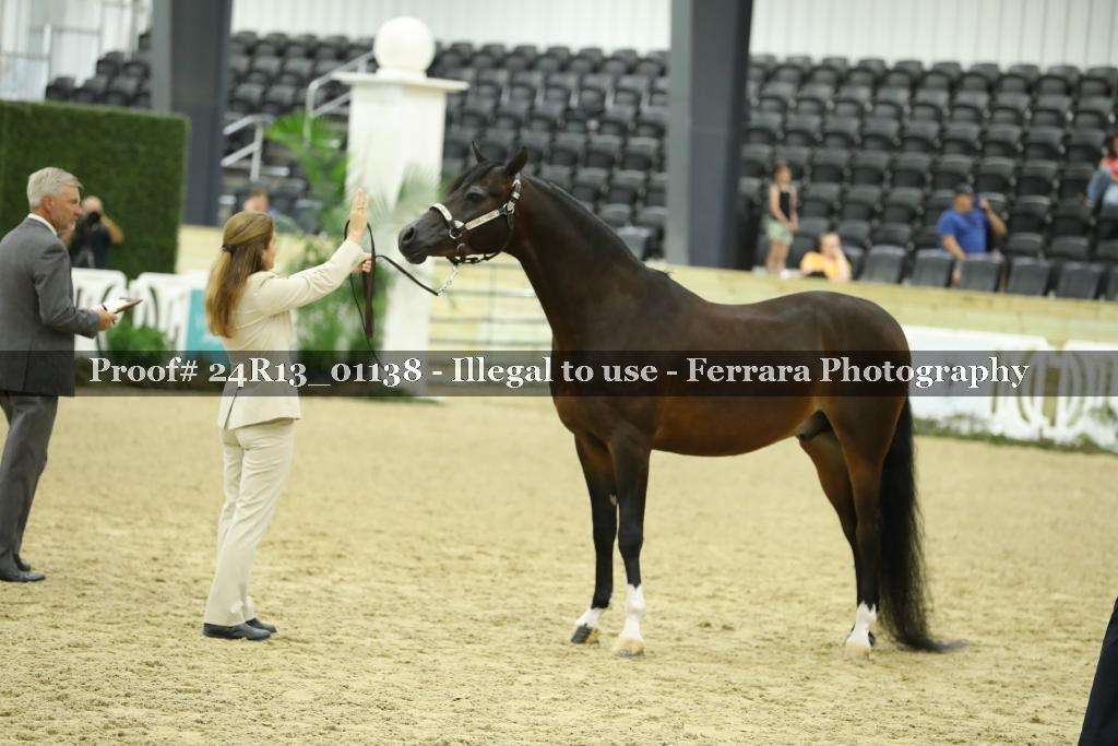 Proof 24R13_01138