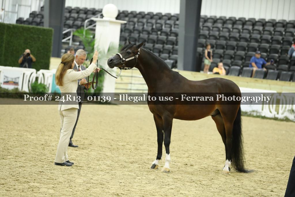 Proof 24R13_01139