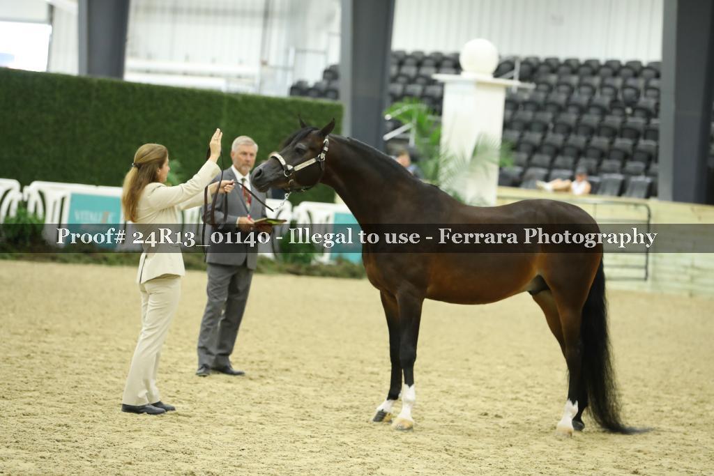 Proof 24R13_01140
