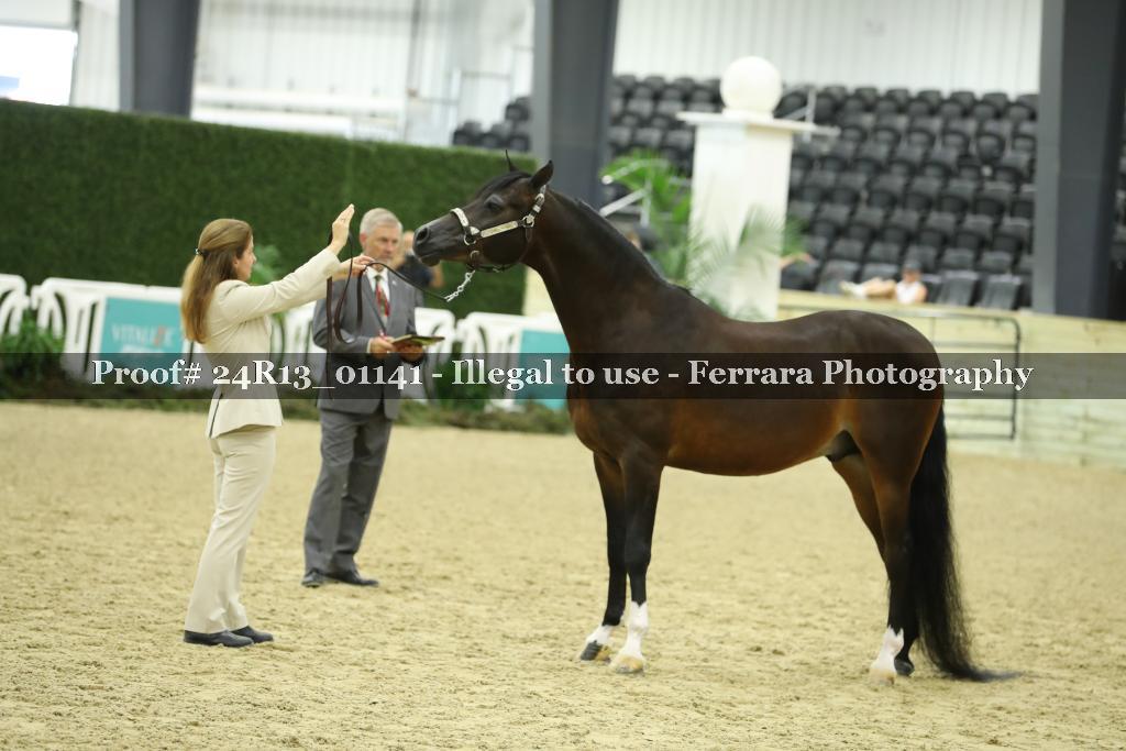 Proof 24R13_01141