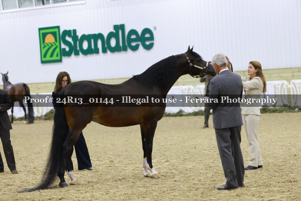 Proof 24R13_01144