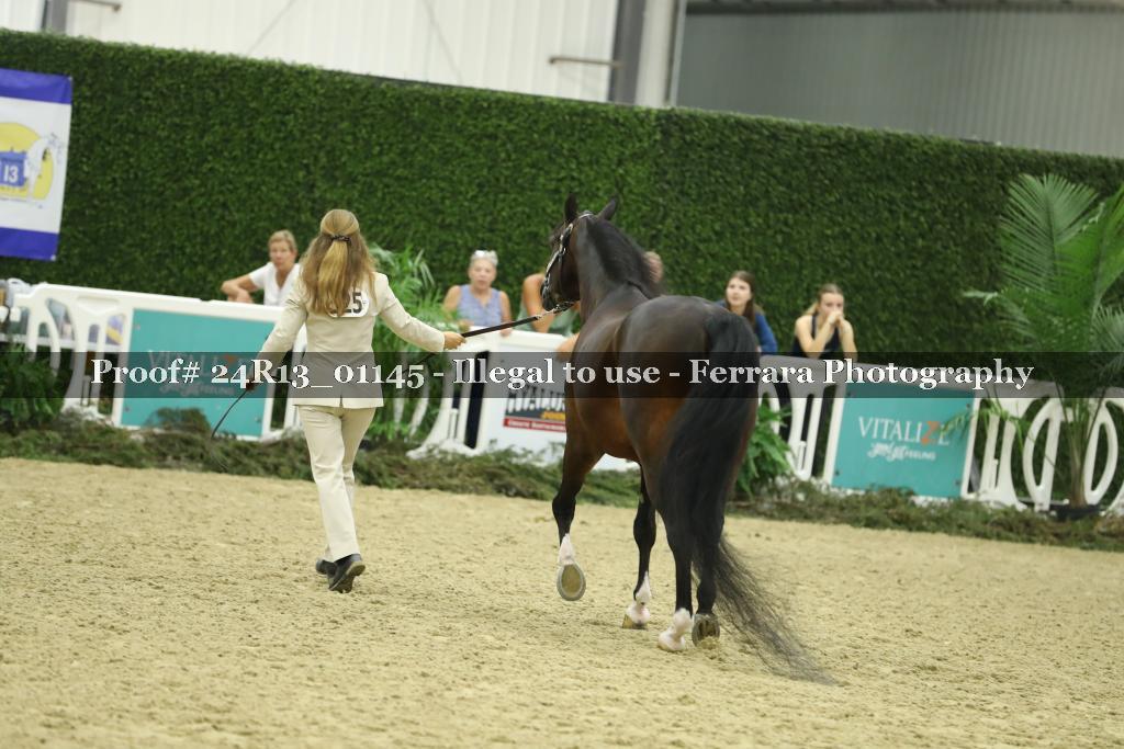 Proof 24R13_01145