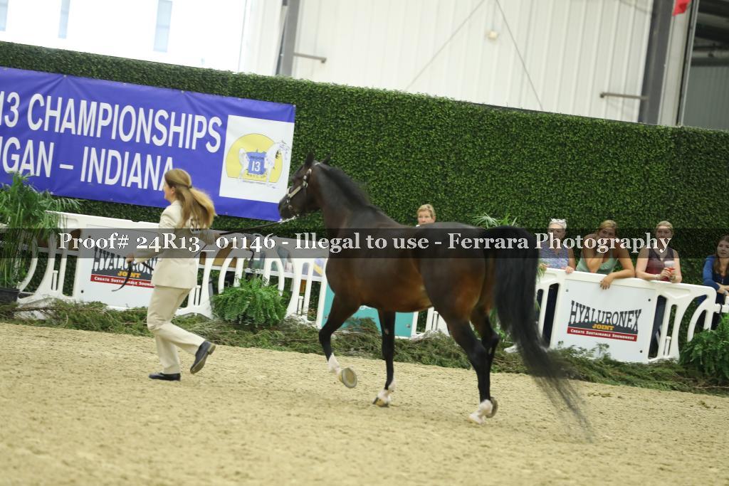 Proof 24R13_01146