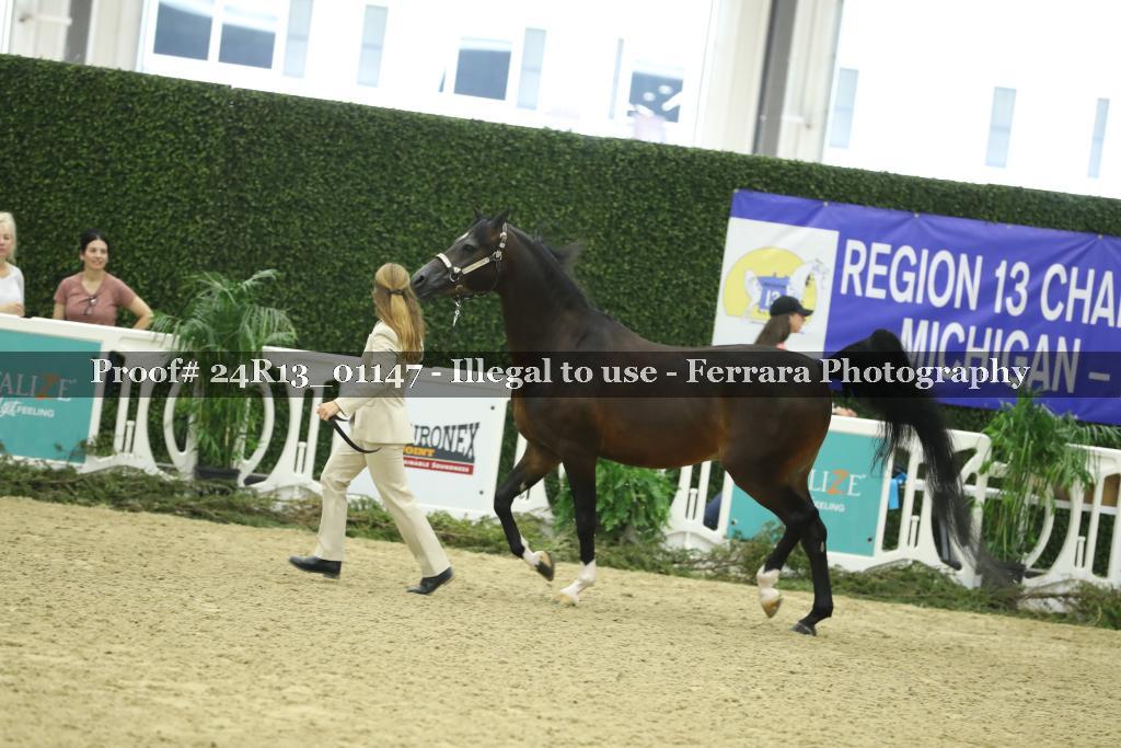 Proof 24R13_01147