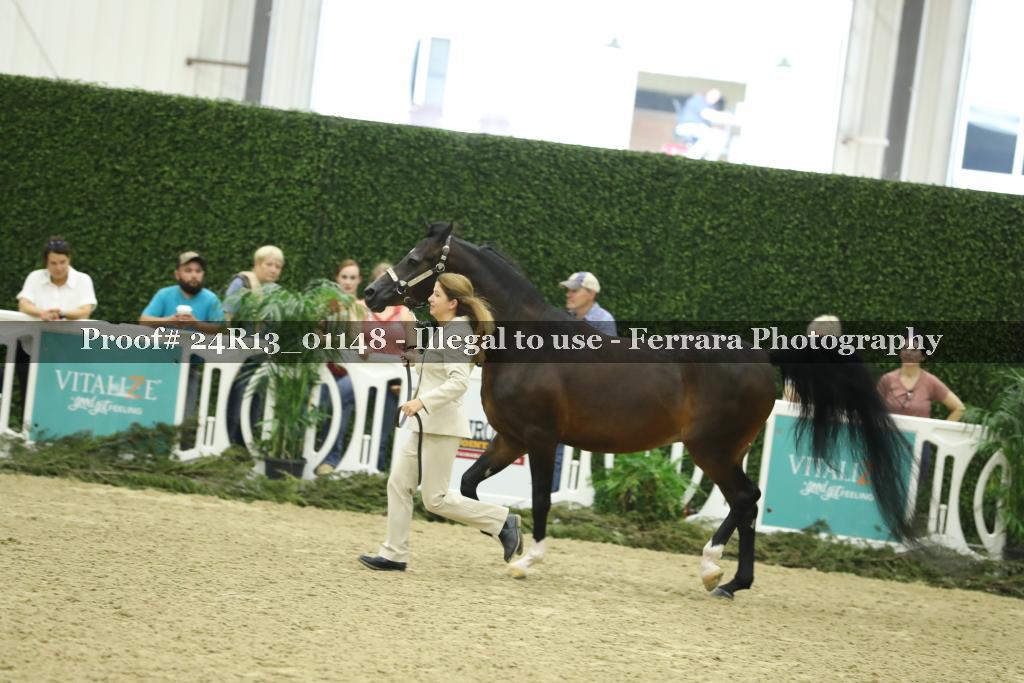 Proof 24R13_01148
