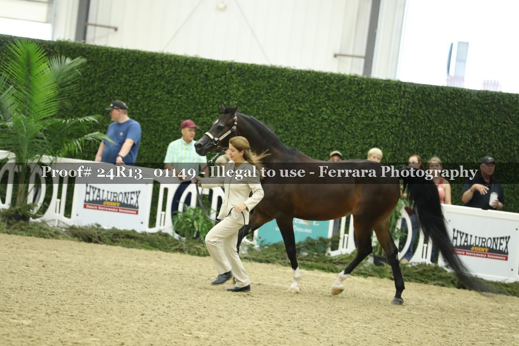 Proof 24R13_01149