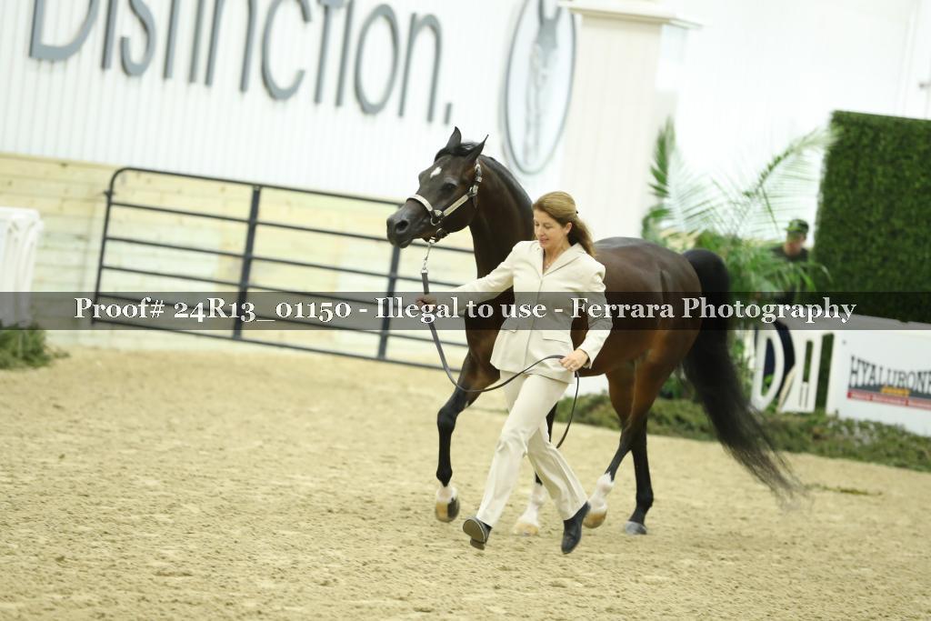 Proof 24R13_01150