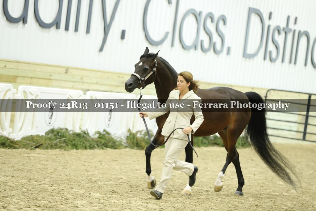 Proof 24R13_01151
