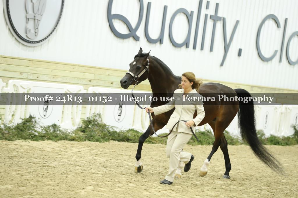 Proof 24R13_01152