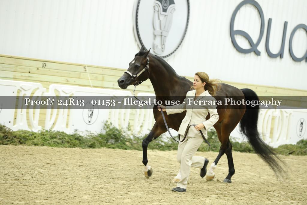 Proof 24R13_01153