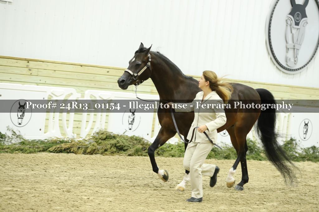 Proof 24R13_01154