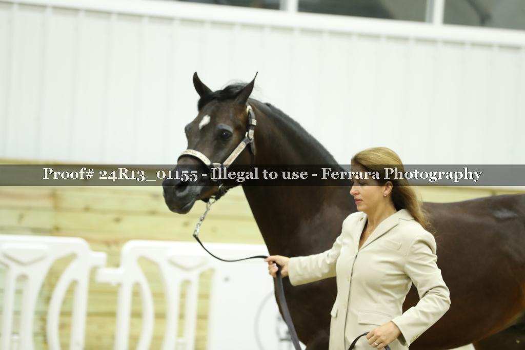 Proof 24R13_01155