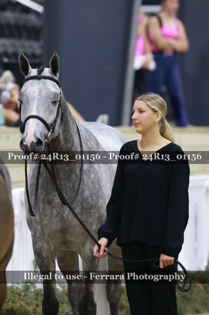 Proof 24R13_01156