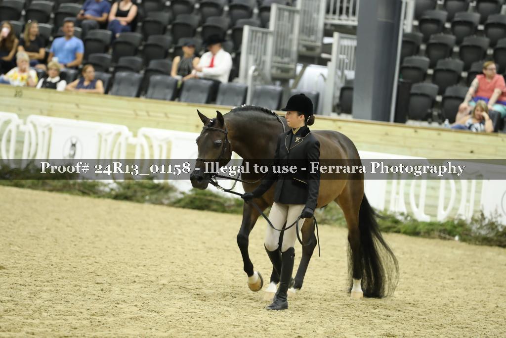 Proof 24R13_01158