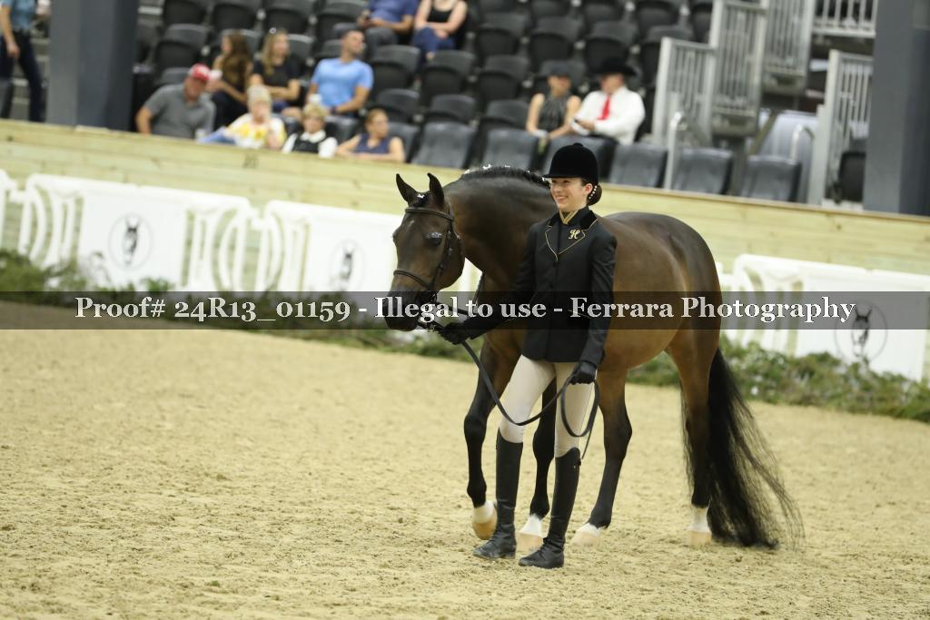 Proof 24R13_01159