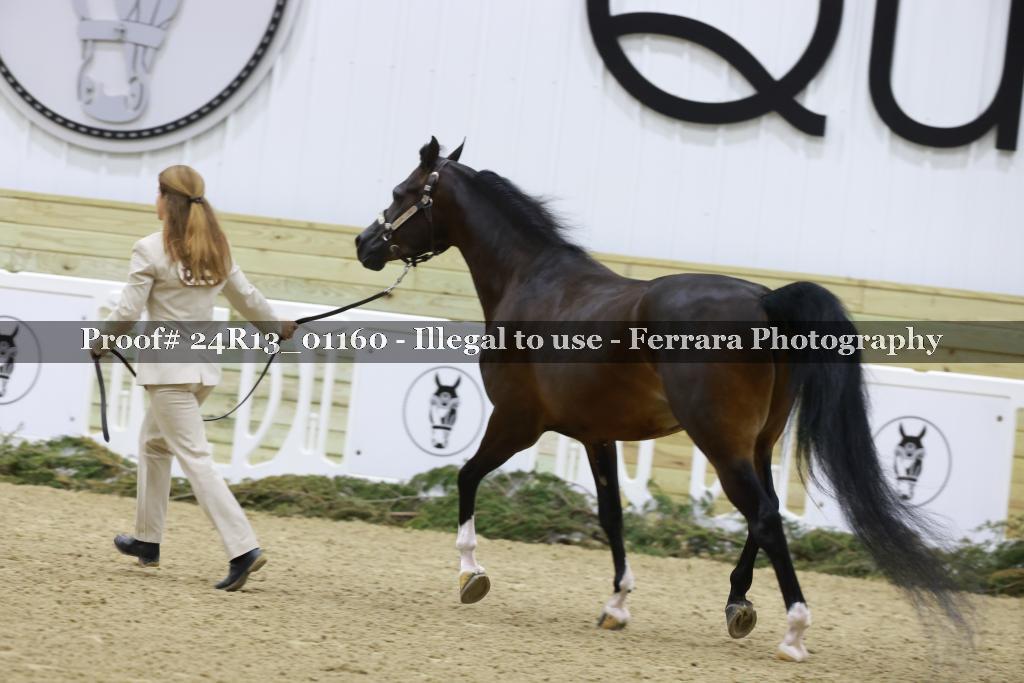 Proof 24R13_01160