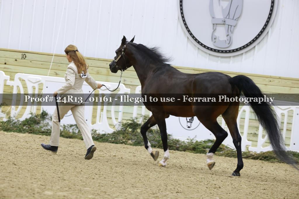 Proof 24R13_01161