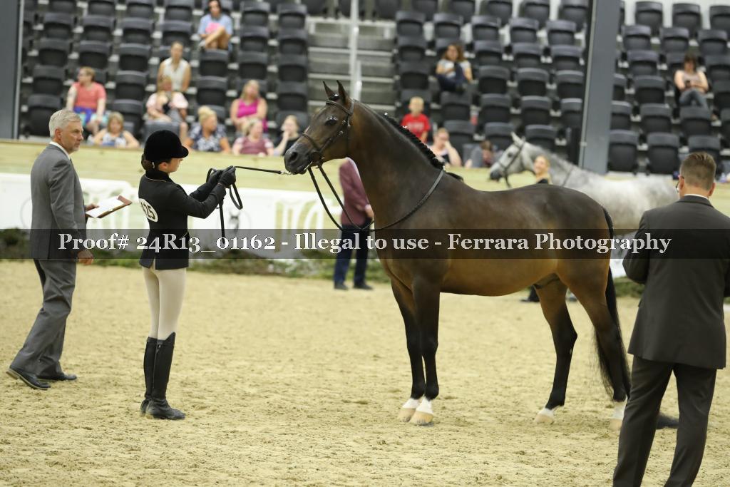 Proof 24R13_01162
