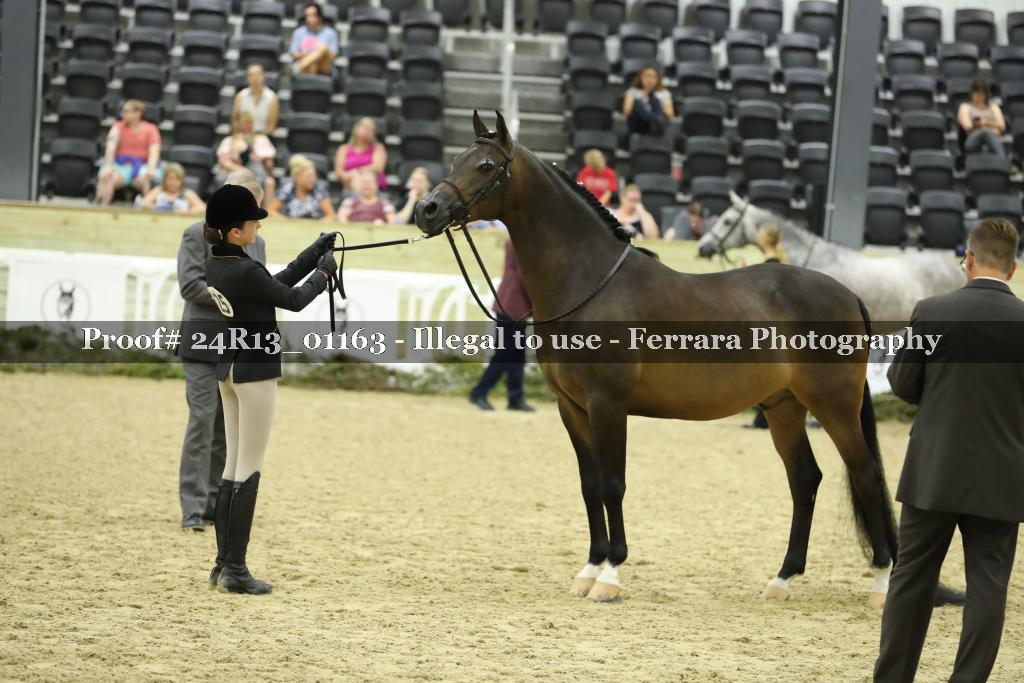 Proof 24R13_01163
