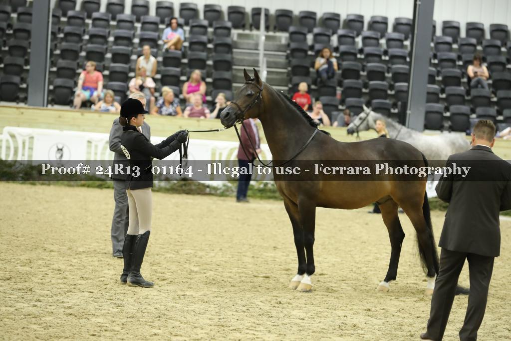 Proof 24R13_01164