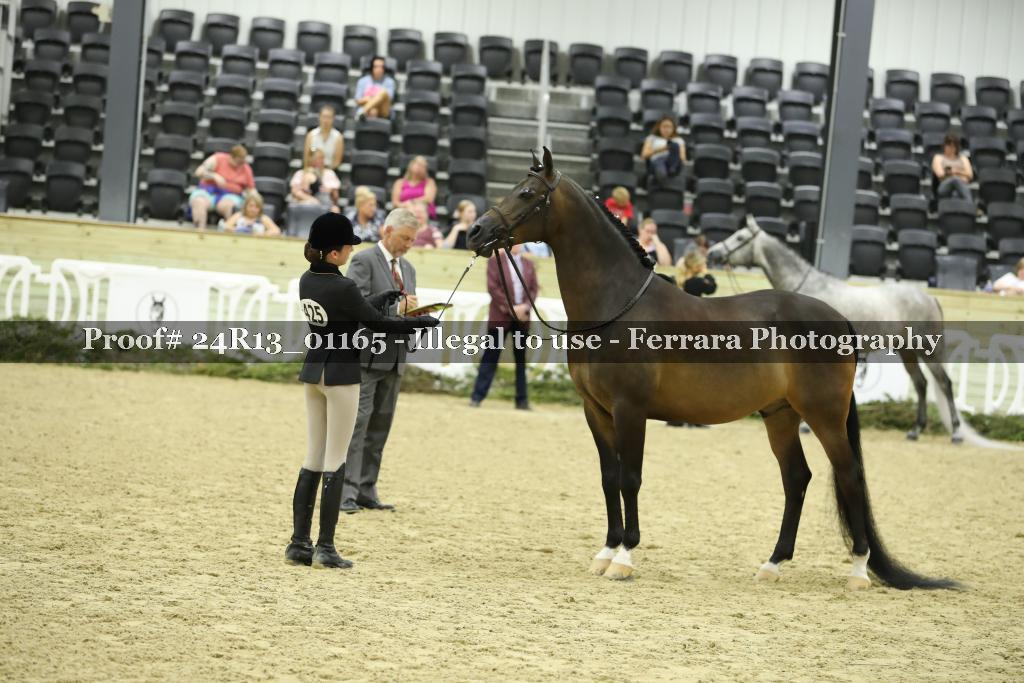 Proof 24R13_01165