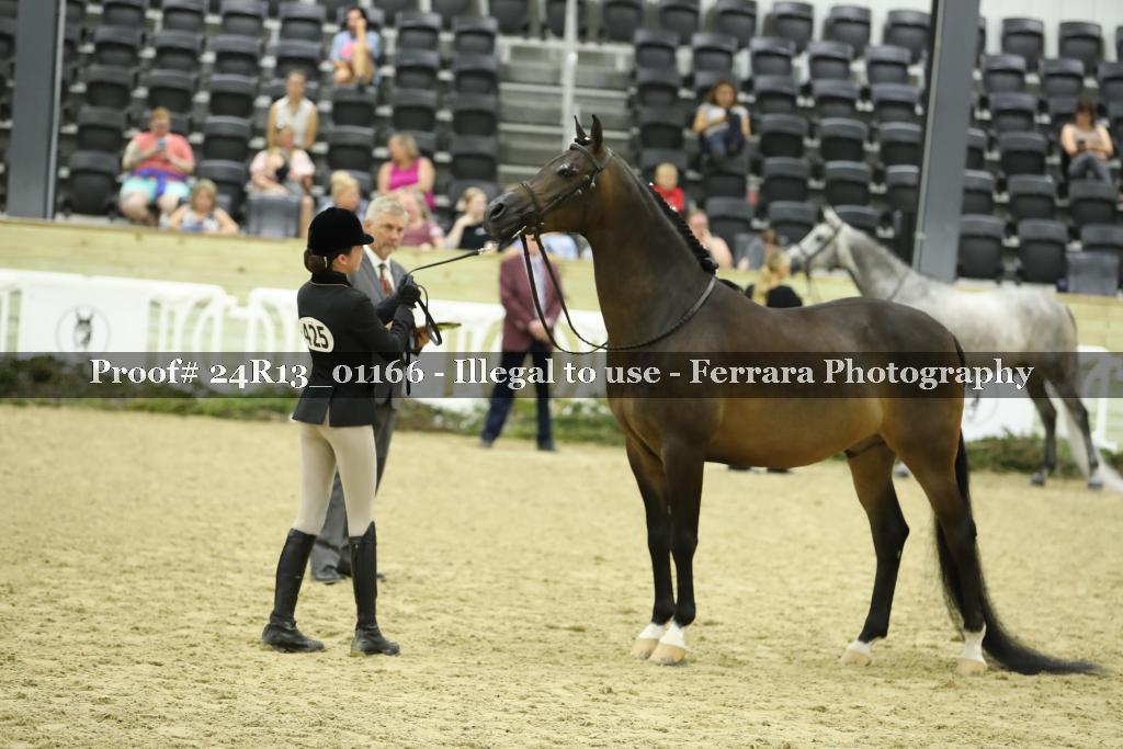 Proof 24R13_01166