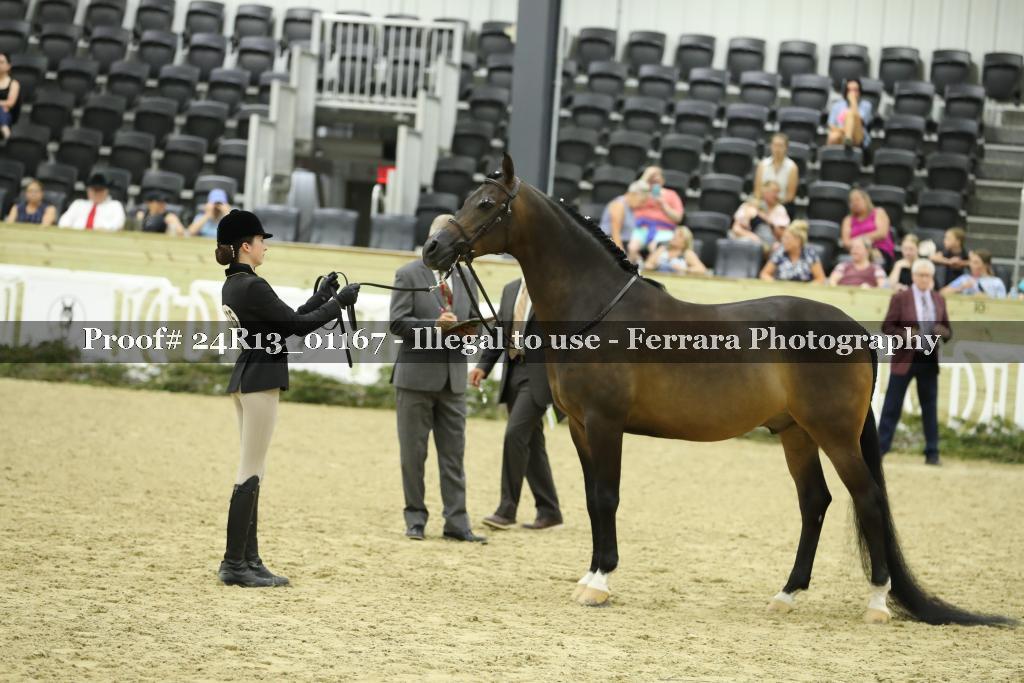 Proof 24R13_01167