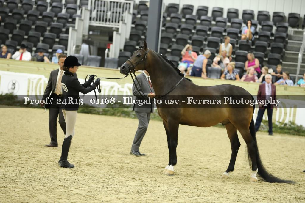 Proof 24R13_01168